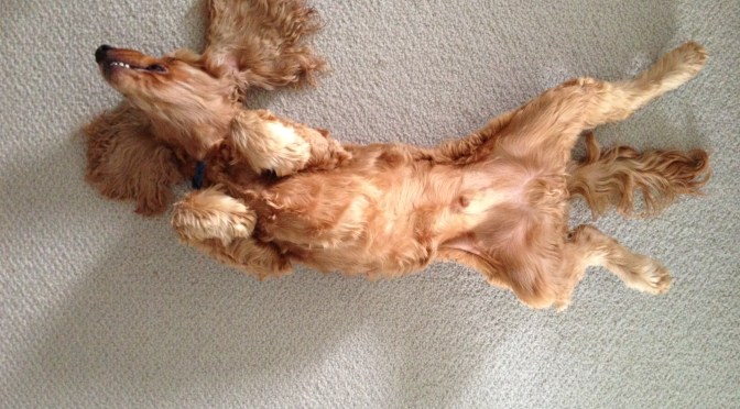 Get moving: the power of the early morning walk